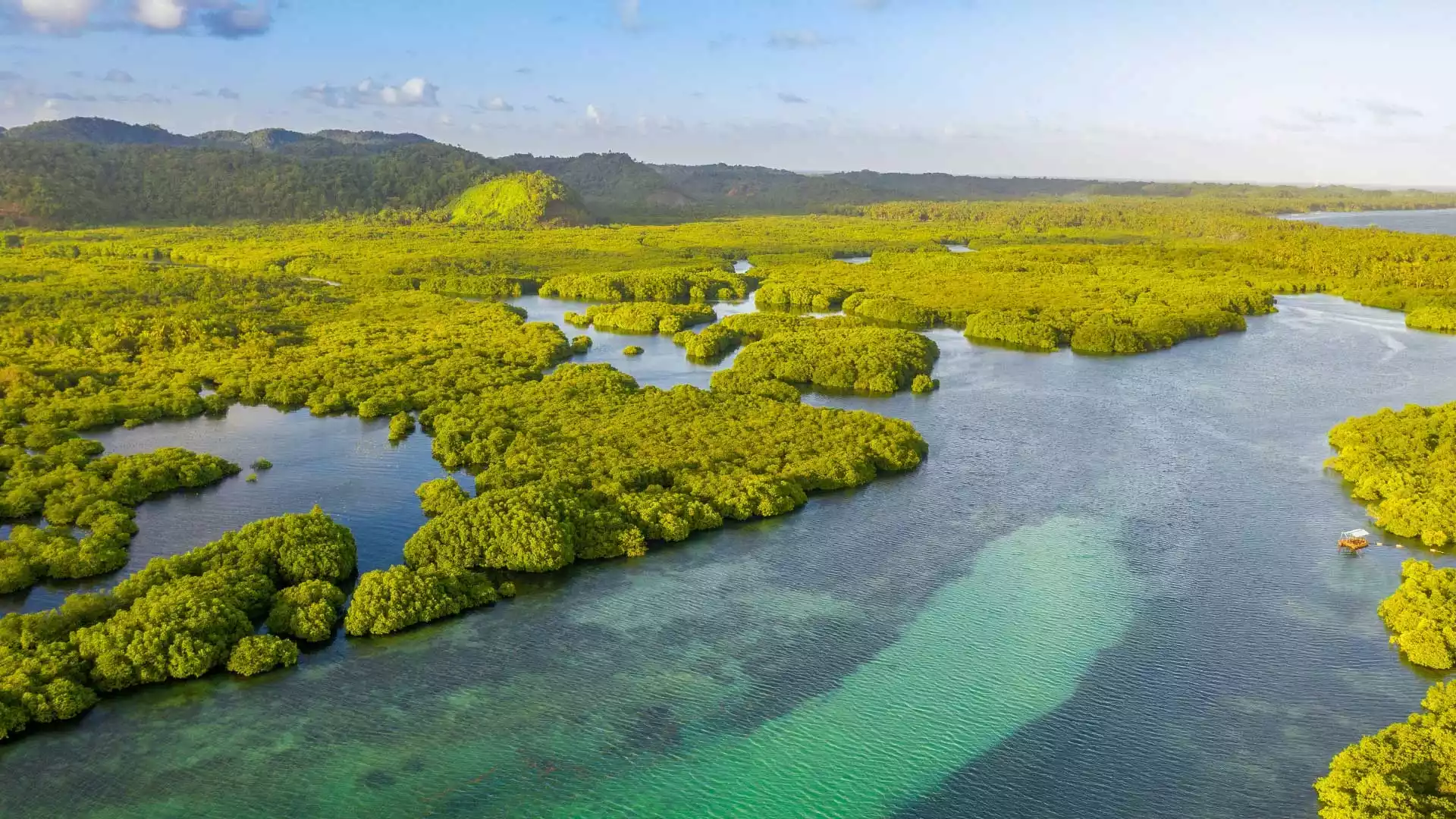 Amazonas Brasilien