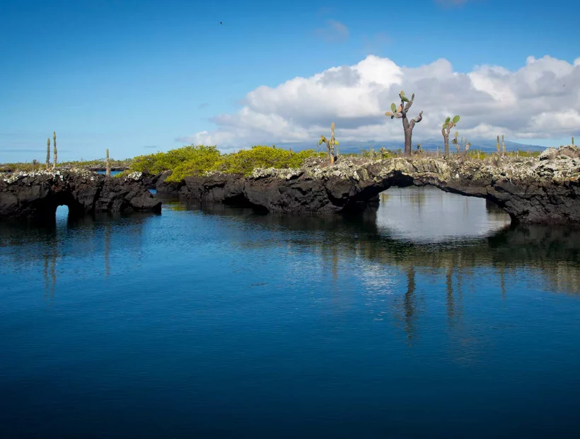 Faszination Galapagos