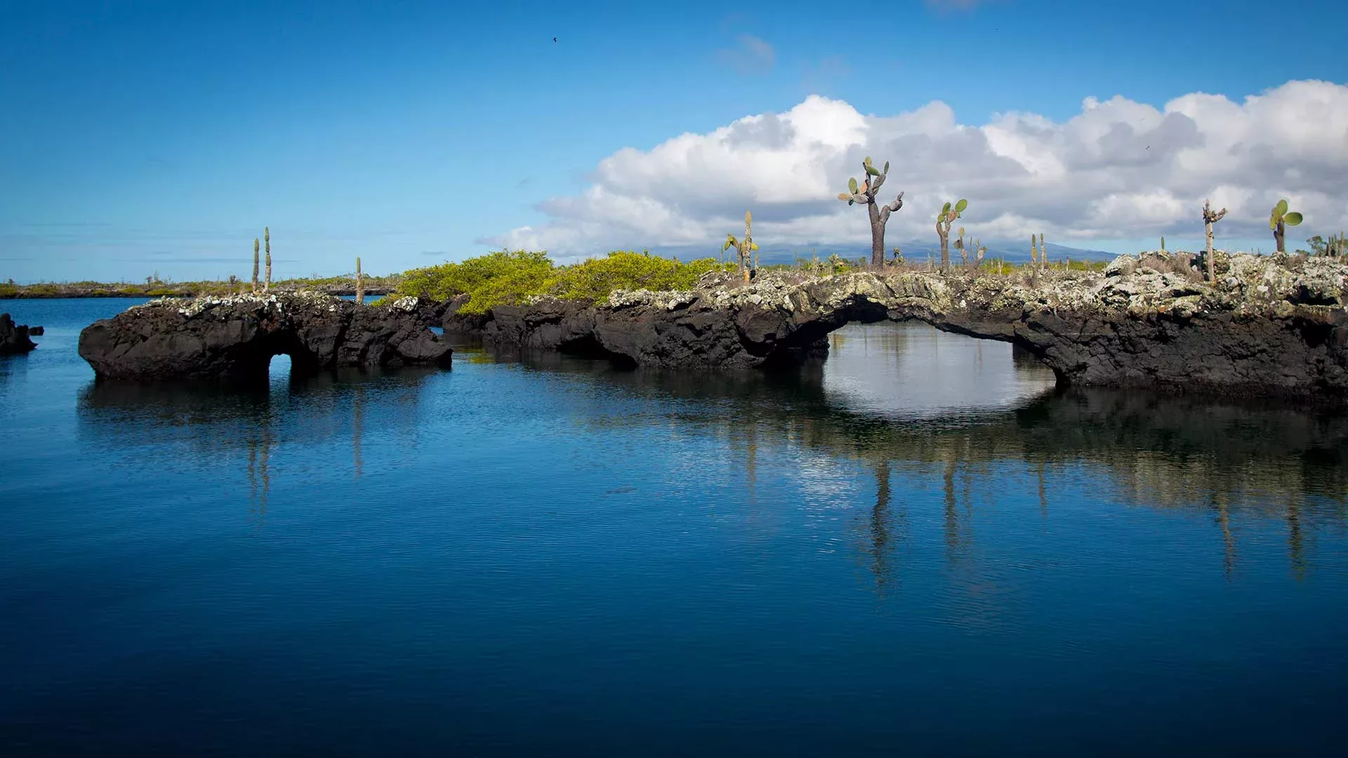 Faszination Galapagos