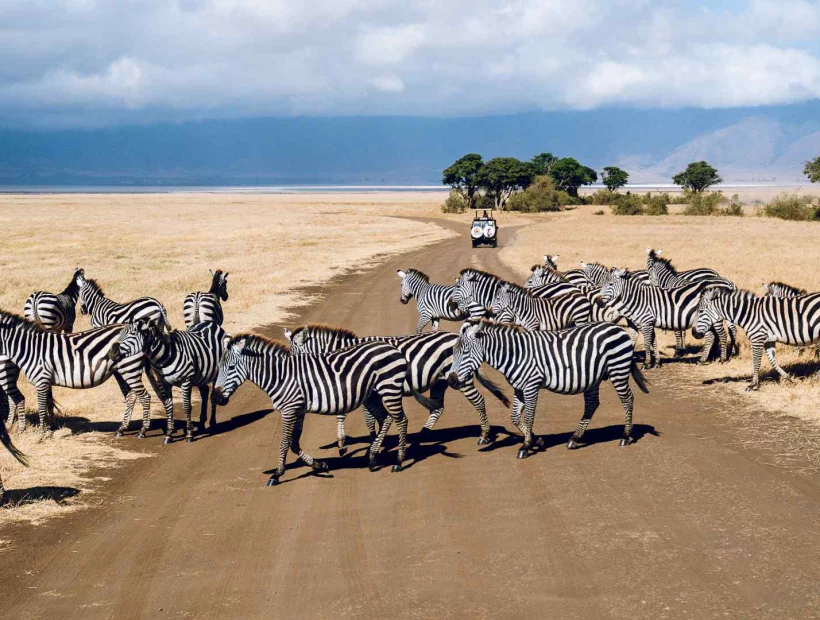 Safari und Seychellen