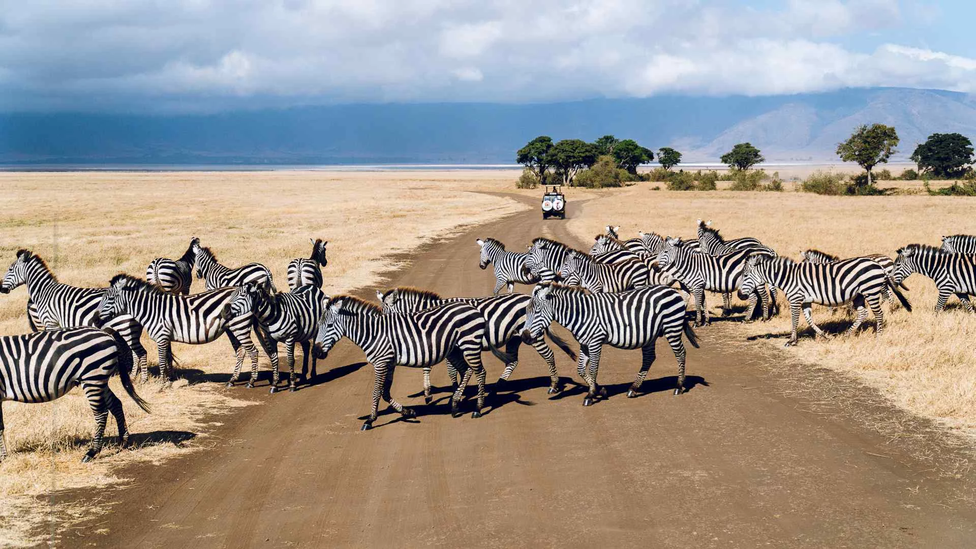 Safari und Seychellen