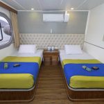 Zweibettkabine/ Hauptdeck