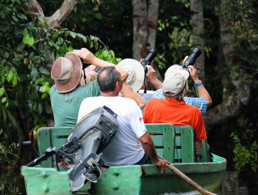 Gäste beobachten mit Ferngläsern die Tierwelt im Amazonas-Regenwald