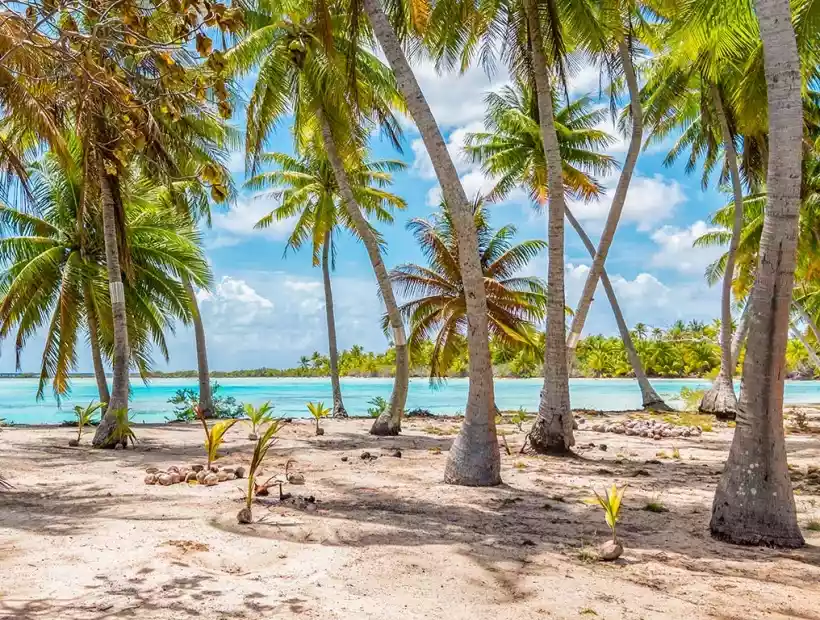 Bucht auf Fakarava, Französisch Polynesien