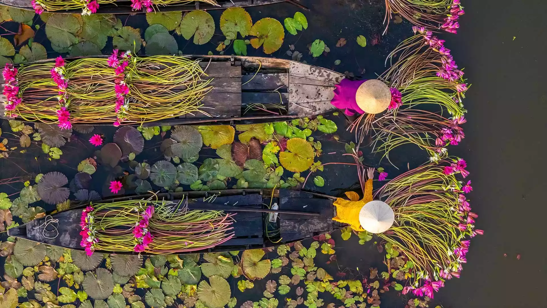 Schätze am Mekong