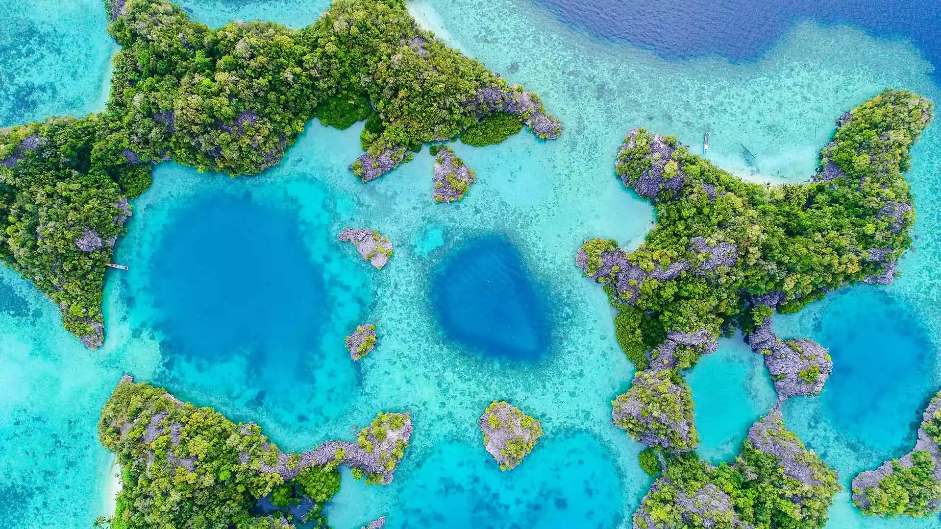 Raja Ampat und Philippinen