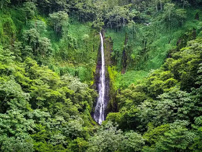 Cocos Island in Costa Rica
