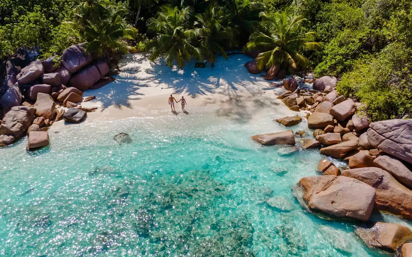 Naturwunder Seychellen