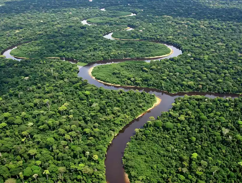 Blick auf den Amazonas inmitten des Regenwaldes
