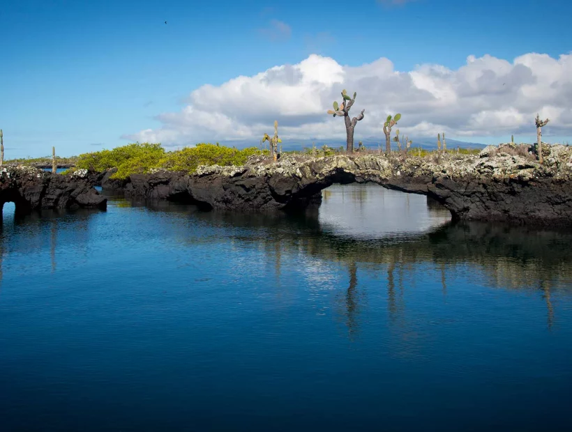 Isabela Galapagos