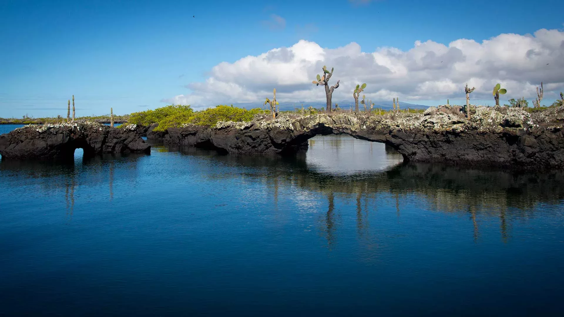 Isabela Galapagos