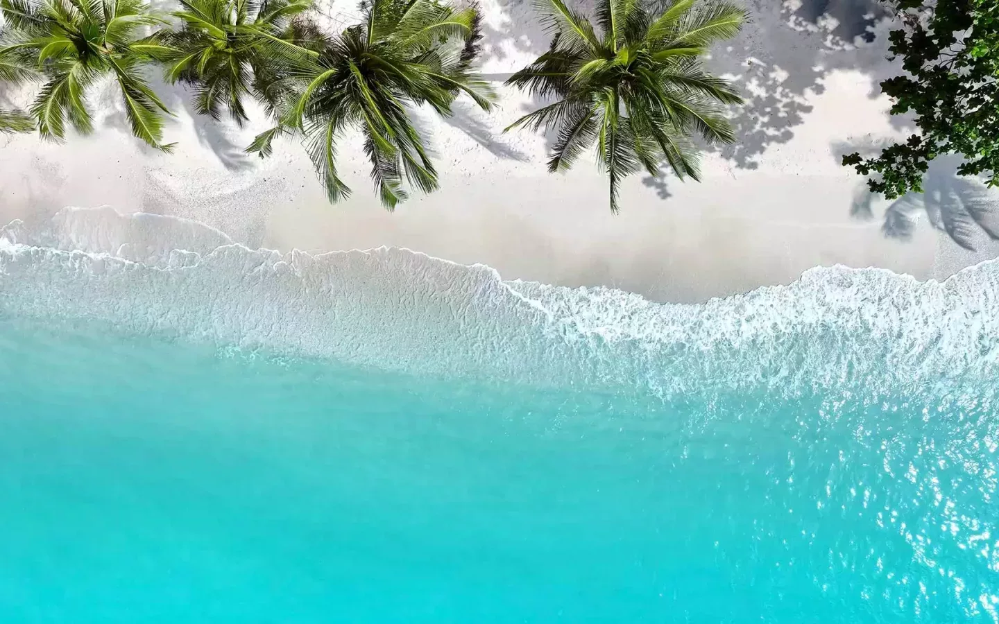 Traumstrand mit Palmen am türkisblauen Meer